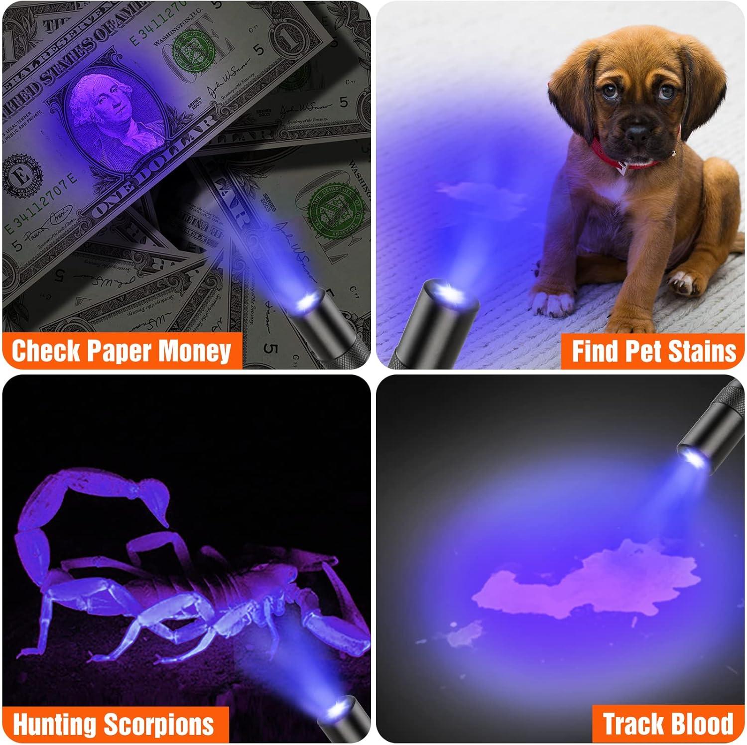 image:imageEverBrite Red Light Penlight Flashlight with 395nm UV BlacklightWhite Light MultiFunction LED Pocket Pen Light AAA Batteries Included for Night Vision Pet Stain Detection Camping 2pack1