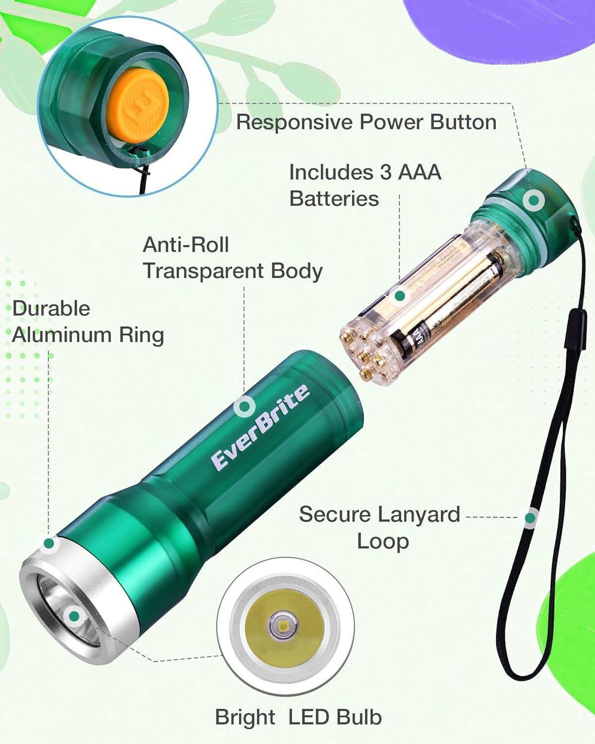 image:imageEverBrite Small Flashlight Compact LED Flash Light with 3 Modes 3 AAA Batteries Included WaterResistant Mini Flashlight for HomeEmergencies and Camping Pink 1 PackGreen