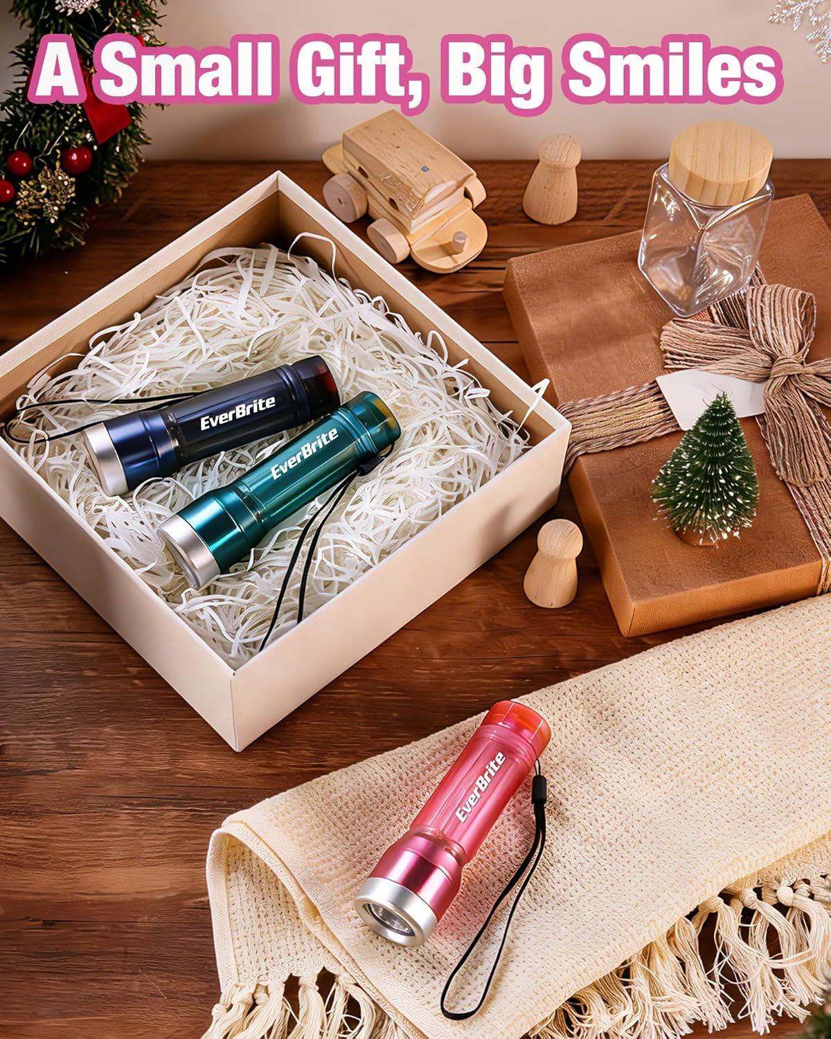image:imageEverBrite Small Flashlight Compact LED Flash Light with 3 Modes 3 AAA Batteries Included WaterResistant Mini Flashlight for HomeEmergencies and Camping Pink 1 PackPink Blue Gray