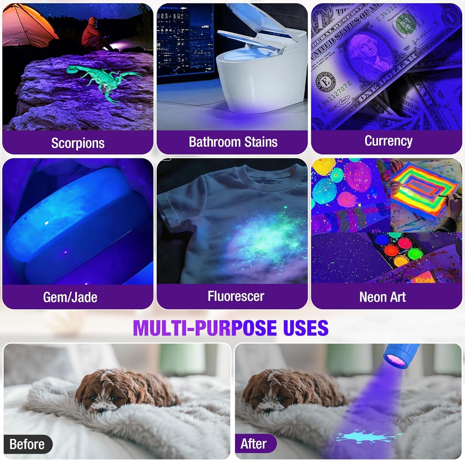 image:imageEverBrite UV Blacklight Flashlights 3Pack Set 9 LEDs 395nm Mini Black Light for Neon Glow Art Class Teaching Scorpions Pets Stains Urine 9 AAA Batteries IncludedE007125 UV Light 3Pack
